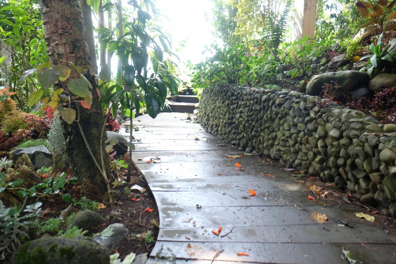 Villa Casa NATIVO Jardín Exterior foto