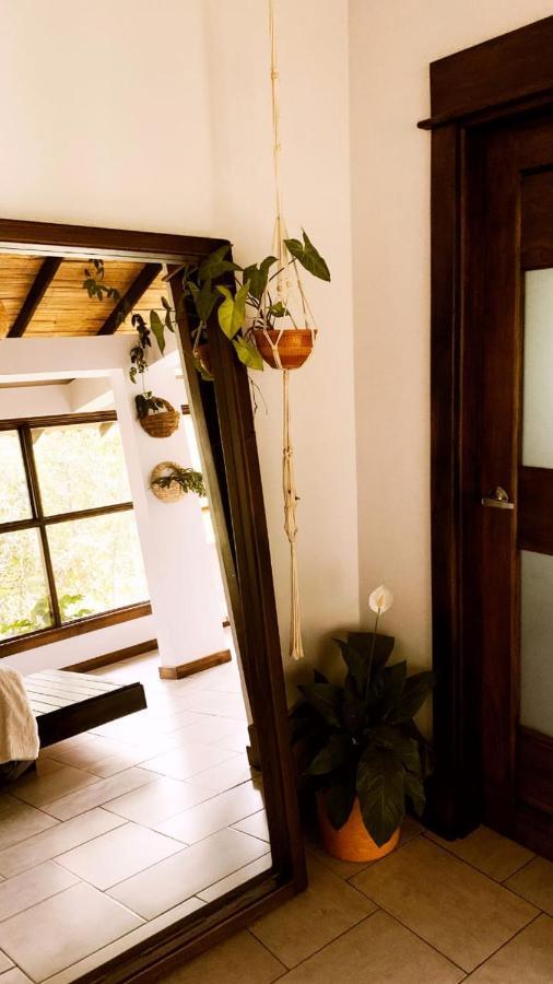 Villa Casa NATIVO Jardín Exterior foto